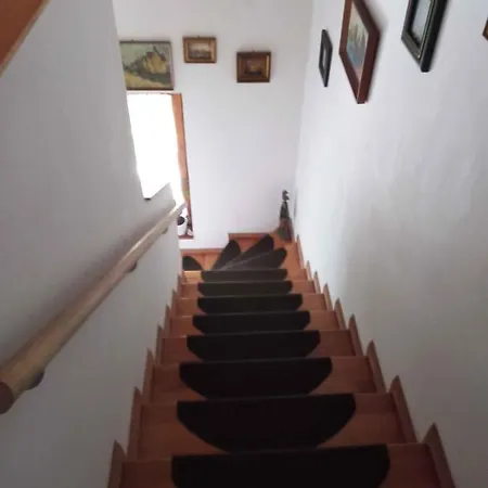 In - Balaton 45319 Apartment